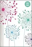 Alpha Edition - Diario Agenda Scuola Collegetimer 2022/2023, Giornaliera, 15x21 cm, Soffioni, 352 pagine