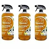ALCOOL (spray) 70° PROFUMATO VANIGLIA​ 750 ML (3)