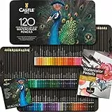 Castle Art Supplies Set di 120 Matite Acquerellabili | Pigmenti Vibranti | Disegna e Dipingi allo Stesso Tempo | Per Artisti Adulti e Professionisti | Protetto e Disposto in un Cofanetto di Metallo