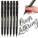 Sinwind 6 Pcs Calligrafia Pennarelli, Pennarello Nero a Punta Doppia per Lettering Ricarica Penne Calligrafia, Disegno, Manga, Art Schizzo