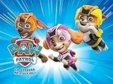 PAW Patrol - La squadra dei cuccioli Stagione 8