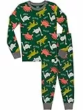 Harry Bear Pigiama a Maniche Lunghe per Ragazzi Dinosauri Vestibilitta Stretta Multicolore 5-6 Anni