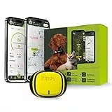 KIPPY - GPS per Collare Cani e Gatti Kippy EVO - Tracker Salute e Attività - GPS Satellitare per Collare GPS Gatto e Cane - GPS Cani Waterproof - Localizzatore con Alert Istantaneo e LED - Giallo