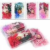 ZIOYA 4 Scatola Fiori Secchi Naturali Fiori Secchi per Resina Fiori Secchi per Candele Fiori Pressati Secchi per Candele Fai da Te, Carte, Scrapbooking