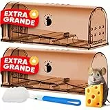 Motel Mouse Trappola per Topi e Ratti Vivi per Interni ed Esterni - Facile da Usare, Facile da Pulire, Riutilizzabile, Rilascio Senza Contatto - Manuale di Istruzioni e Video in Italiano