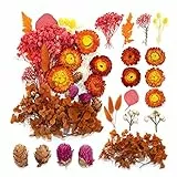 DEZ Una Scatola Fiori secchi Decorativi Fiori secchi Composizione Fiori secchi Bouquet Fiori secchi Fiori secchi Naturali Fiori secchi Decorativi Naturali（Arancia）