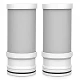 Vortopt Ricambio per acqua rubinetto T1-ACF/T2-ACF, 3-4 mesi di vita, filtro T1/T2 (confezione da 2)