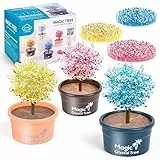 colmanda Esperimenti Scientifici per Bambini, Cristalli da Coltivare Mega, 3 Coloratissimi Cristalli da Far Crescere, Giocattolo Scientifico per Bambini, Giochi Scientifici per 6 7 8 9 10 11 12 Anni