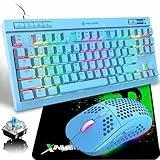 CROSS ZEBRA Set Tastiera e Mouse da Gioco RGB, Tastiera Meccanica Arcobaleno 87 Tasti Switch Blu + Mouse a Nido D'ape Leggero a 6400 DPI + Tappetino per Mouse Compatibile con PC, Mac, PS4, XBox - Blu
