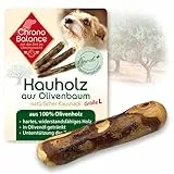 ChronoBalance® giocattoli da masticare in legno d'ulivo per cani: 1xL | legno da masticare resistente per la cura naturale dei denti, osso bocconcini: Bastoncino per l'igiene dentale sicuro + robusto