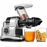 AMZCHEF Estrattore Frutta e Verdura - 80MM Grande Apertura per Frutta Intera - Estrattore Frutta e Verdura Professionale con Modalità a 2 Velocità e Funzione Inversa - Argento