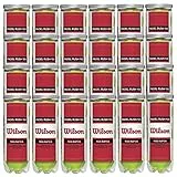 Wilson Padel Rush 100 Box (24 Tubi da 3 Palline)