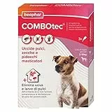 Beaphar COMBOTEC Antiparassitario per Cane Taglia Piccola (2-10 Kg), Protegge da Pulci, Zecche, Uova, Larve e anche la Casa - In Confeziona da 3 Pipette