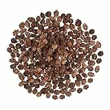 200 Pezzi Pigne di Natale, Mini pigne Naturali Pigne del Ringraziamento Pigne di Natale Ornamenti per la Decorazione Domestica Artigianato Fai da Te Albero di Natale Decorazione Autunno Inverno