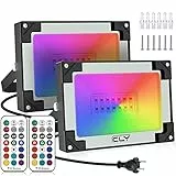 CLY Faretto LED RGB 25W 2 Pezzi Faretto LED da Esterno RGB Proiettore con RF 360° Telecomando 12 Colori 2 Modalità Funzioni di Timer e Memoria IP66 Impermeabile per Giardino Terrazza Partito