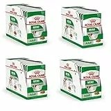 Royal Canin Mini Adult in Salsa | Confezione da 4 | 4 x 12 x 85 g | Alimento umido per cani adulti di piccola taglia (da 1 a 10 kg) | Da 10 mesi a 12 anni | Contenuto energetico adattato