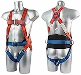 Workwear World WW241 2 punti di sicurezza anticaduta imbracatura di caduta protezione completa