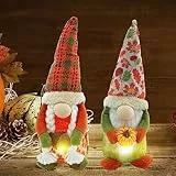TSLBW 2 Pezzi Decorazioni di peluche gnome del Ringraziamento, Bambole senza volto gnomi luminosi, Zucca Coni di pino Foglie d'acero Gnomi decorativi autunnali per Raccolto Decorazioni da tavolo