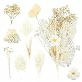 Fiori Secchi per Resina Fiori Secchi Naturali in Rilievo Fiori Conservati Resina per DIY Gioielli Candela Crafts Scrapbooking Candele Decorazion Floreale (Bianco)