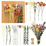 28-30 Pz Fiori Secchi Naturali e Corda, 11 Specie Fiori Secchi Misti 26-28cm Veri Fiori Secchi per Resina, Fiori Secchi Decorativi per Fai da Te Artigianato Album Ritaglio Candele Home Decor