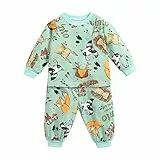 Sanlutoz Neonato Vestiti delle Neonate Manica Lunga Cotone Set di Vestiti per Bambini 2 Pezzi Cartoon (6-12 Mesi, 9118-9119-GR)