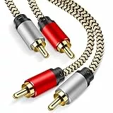 Hanprmeee Cavo 2RCA 10M, Stereo 2 RCA Maschio a 2 RCA Maschio Nylon Treccia Cavo Audio Coassiale Connettori Placcati in Oro per CD, DVD, Home Theater, TV, Altoparlanti, Amplificatori, ecc (10M)