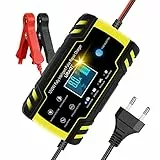URAQT Caricabatterie Auto, 12V/24V 8A Multi Protezioni Caricabatteria e Mantenitore, Carica Batteria Intelligente Automatico con Schermo LED per Auto Moto Camion AGM