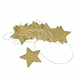 Zerodis Ghirlanda di Carta Stella d'Argento Dorata Decorazione di Stelle appese per Matrimoni Feste Camere per Bambini Zanzariere Finestra a Muro(Oro)