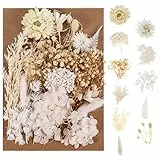 Bohoman Fiori Secchi Naturali, Veri Fiori Secchi per Resina Misti Petali e Foglie di Fiori Pressati Fiori Secchi Eterna Fiore per Fai da Te Scrapbooking Candele Decorazione