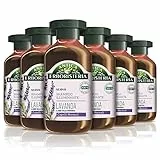 Antica Erboristeria Shampoo Illuminante Lavanda e Erbe della Provenza, Shampoo per Capelli Normali, con Ingredienti Naturali, 6 pezzi x 250 ml