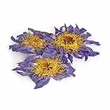 Tea Soul | Fiore di Loto Blu Essicato 25 gr