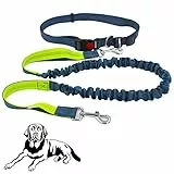 Senven®Guinzaglio a Mani Libere, Guinzaglio Per Cane Retrattile, Cintura Regolabile + Maniglia Per Camminare Bungee Cinturino Per Cani, Cinghia Riflettente, Corsa, Camminata (Grigio Verde e Grigio)
