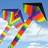 2 Pezzi Grande Aquilone Arcobaleno per Adulti, Confezioni di Aquiloni a Linea Singola, Colorato Aquiloni per Adulti e dai 5 Anni, Professionale Aquilone Acrobatico
