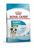 Royal Canin Mini Puppy | 2 kg | Alimento secco per cani di piccola taglia | Peso finale fino a 10 kg | Fino a 10 mesi di età