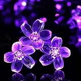 Catena Luminosa,SUAVER 21ft 50LED Luci Stringa solare Luci in fiore Ghirlanda LED Impermeabili Luci Decorative per Porta Giardino Patio Balcone Corridoio Feste 8 Modalità (Viola)