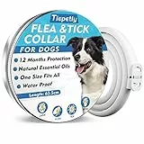 Collare Antipulci Cane, Naturali Collare Antipulci e Zecche per Cani, 12 Mesi di Protezione Impermeabile Collare Cane Antiparassitario, 65cm Regolabile Collare Antipulci