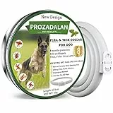 Collare Antipulci e Zecche Regolabile Impermeabile, Antiparassitario per Tutti i Tipi di Cani, 8 Mesi di Efficacia Protezione, 63cm Taglia Unica (1pack)