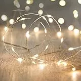Lights4fun Catena Luminosa di 50 Micro LED Bianchi Caldi con Presa USB per Arredo Interni