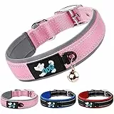 AUAUY Collare per Cani, Collare Riflettente in Nylon Regolabile, Collari Imbottiti per Animali Domestici con Fibbia in Metallo e Campana per Tutte Le Varietà Cani Piccoli, Medi e Grandi (Rosa-M)