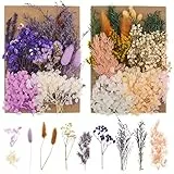Bohoman Fiori Secchi Naturali, 2 Borse Fiore Essiccato Pressati Fiori Secchi Veri Fiori Secchi per Resina Foglie Floreali Colorati e Misti Petali per Fai da Te Scrapbooking Candele Decorazione