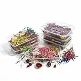 Ericrise 2 Scatola Fiori Secchi, Fiori Pressati Secchi Naturali Mix di Stile Fiore Foglie secche essiccate pressate Piante Fiori Secchi Accessori Fai da te in Resina per la Creazione di Gioielli