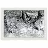 Legendarte - Poster, Stampa decorativa - Radici - Quadro, Decorazione Parete cm. 60x90