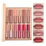 Rossetto liquido Set Matte Pearlescent Not Sticky Cup Lip Glaze 12 Color Book Lip Gloss Set, il regalo più caldo per la tua ragazza.