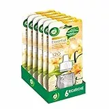 Airwick Confezione da 6 Ricariche per Diffusore Elettrico di Oli Essenziali alla Fragranza di Vaniglia e Thè Bianco, Profumatore per Ambienti