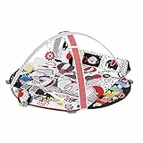kk Kinderkraft Palestrina Interattiva 4SMART, per Bambini da Non Tossico, Multifunzioni, Accessori
