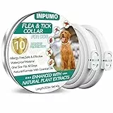 Collare Antiparassitario Regolabile Per Cani Piccoli, Medi e Grandi, Antipulci, 10 Mesi di Impermeabilità Naturale, Anti Zecche (2 Pack)