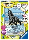 Ravensburger Spieleverlag Pferd am Strand. Malen nach Zahlen Serie D Pferde: Mit Pferde Stickerbogen!