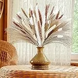 TAOPE Erba della Pampas, 100PCS Set di Erba di Pampa Essiccata Naturale, Erba di Pampa Bianca Fronde Soffici, Bouquet di fiori secchi Decorative 40-44 cm per Composizioni Floreali Casa Matrimoni Feste