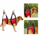 Filfeel Cablaggio per cani, Pet Walking Aid Lifting Pulling Vest Sling Support Riabilitazione per cani anziani e feriti(Rear Leg - M-Red)