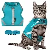 Pettorina per Gatti con Mesh,Set di Pettorina e Guinzaglio per Gatti, Regolabile Imbracatura per Gatti, A Prova di Fuga,Striscia Riflettente Forniscono Protezione per Gatti (XS, Verde)